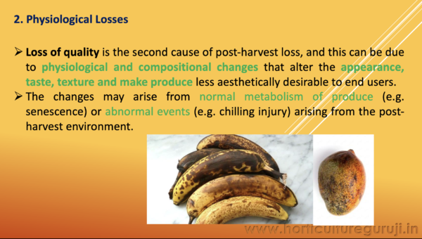 Extent and Possible Causes of Post Harvest Losses PPT - Image 3